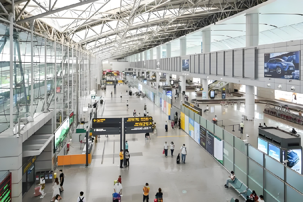 国际航线网络再扩容 多家航司新增航线信息发布