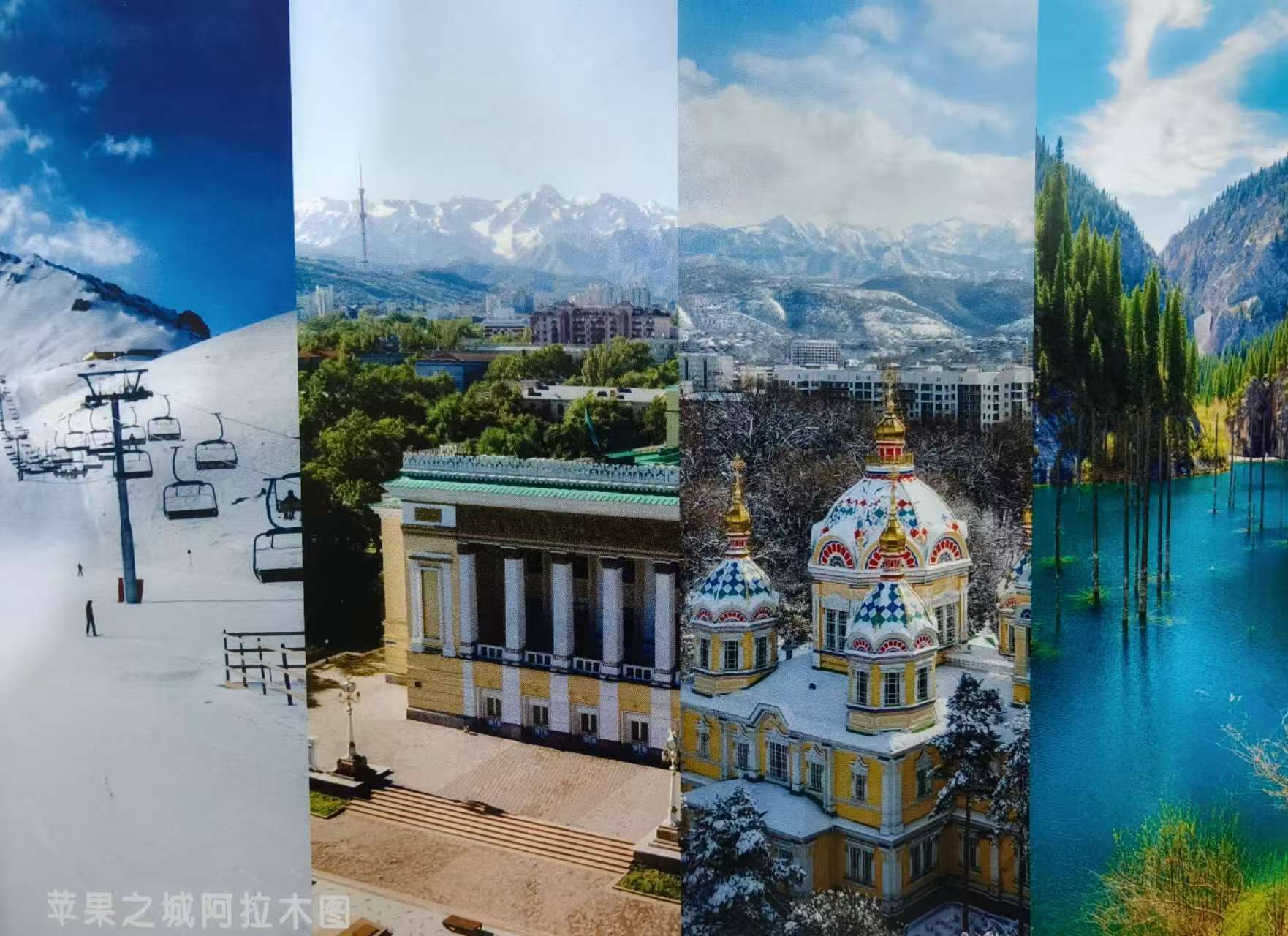 1773035708158571.jpg 微信图片_20260309100932.jpg