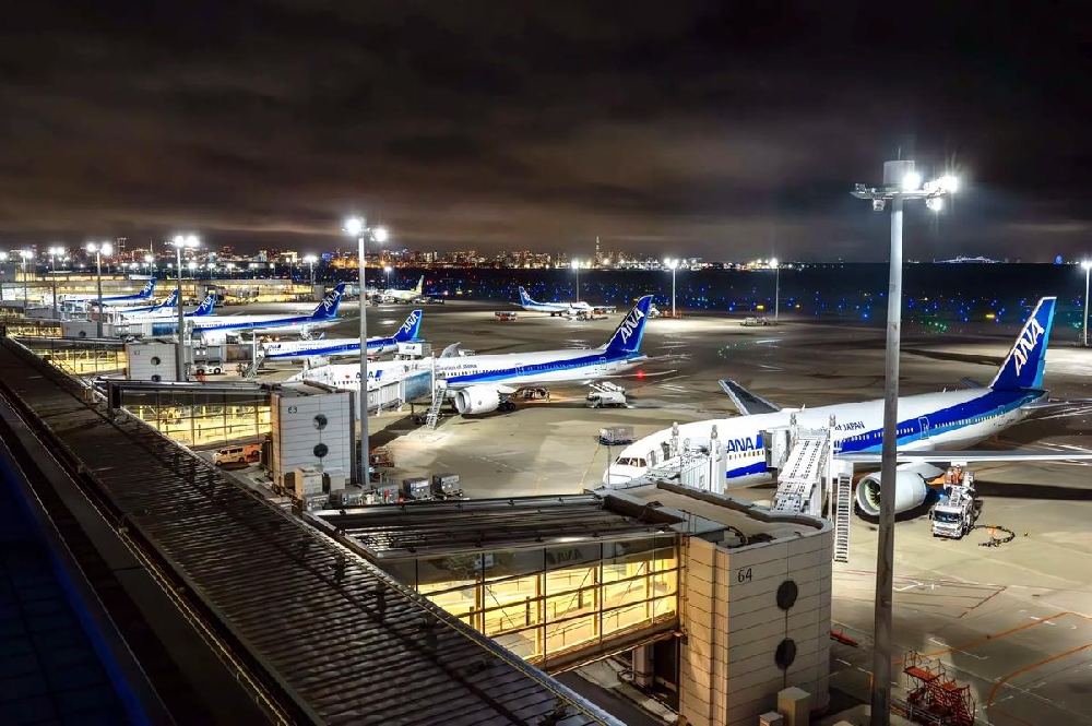 专属出行政策 | 全日空航空领导莅临旷晨国际商旅开展专项交流培训
